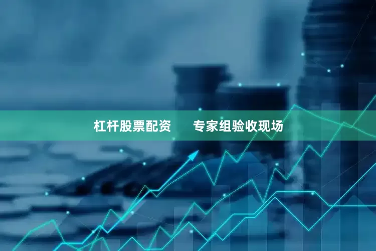 杠杆股票配资      专家组验收现场